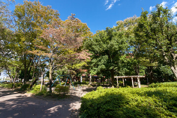 日野中央公園（東京都日野市神明）