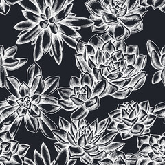 Seamless pattern with hand drawn chalk succulent echeveria