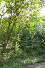 平山城址公園（東京都八王子市堀之内）