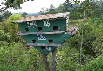 Wooden pigeon house in the garden, natural background.