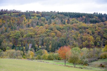 Herbstwald