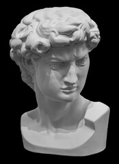 Headf of statue of David sculpture by Michelangelo. Antique marble face isolated on black