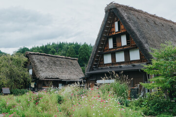 Fototapeta premium 白川郷
