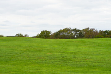 Fototapeta premium 北海道の雄大な牧草地