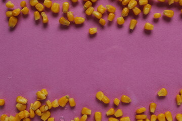 food background bright yellow sugar grain corn at the edges of the top right or from bottom to top on a red rose fuchsia background, copy space