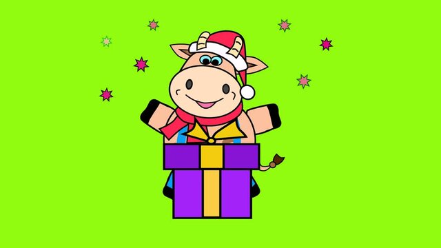 Christmas bull with a gift as a symbol of the new year 2021.  Mary Christmas  animation on a green screen. 
