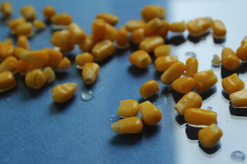 corn kernels on a blue bright background top view food background vegetable