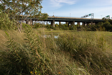 Little Hell Gate Salt Marsh on Randalls and Wards Islands during Summer in New York City	