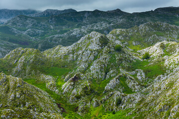 Picos de Europa National Park, Asturias, Spain, Europe