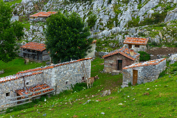 Majada de Belbín, Picos de Europa National Park, Asturias, Spain, Europe
