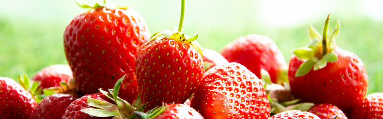 red fresh strawberries on green grass, close view