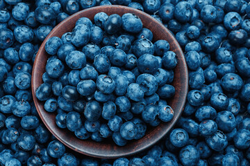 Fresh blueberry background.