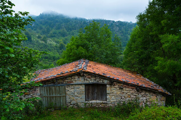 Picos de Europa National Park, Asturias, Spain, Europe