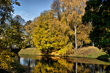 autumn in the park