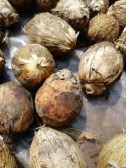 closeup of areca nuts isolated on a surface
