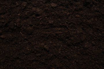 Black land for plant background.