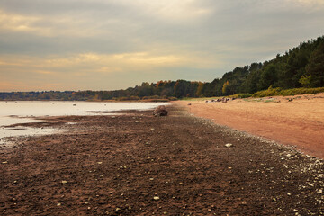low tide on the Baltic sea shore with colorful forest and rocks on the sand