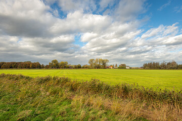 Fototapeta na wymiar Edge of a freshly mowed grassland in autumn