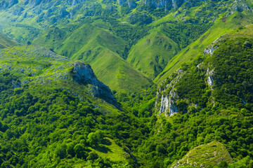 Fototapeta na wymiar Valley of Casaño River, Picos de Europa, Asturias, Spain, Europe