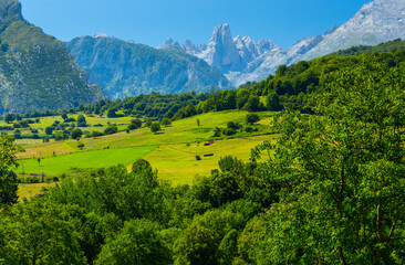 Obraz premium The Naranjo de Bulnes (known as Picu Urriellu in Asturian), Picos de Europa National Park, Asturias, Spain, Europe
