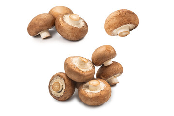 Fototapeta na wymiar Tasty mushroom isolated on white background.