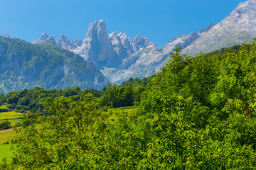 Obraz premium The Naranjo de Bulnes (known as Picu Urriellu in Asturian), Picos de Europa National Park, Asturias, Spain, Europe