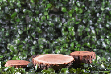 wooden disks with a place to put a product