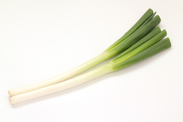 白ねぎ