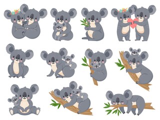 Cute koala and baby. Cartoon little koalas with moms. Australian bear loving couple hug. Baby shower party. Nature jungle animals vector set. Illustration cartoon koala animal, cute bear baby