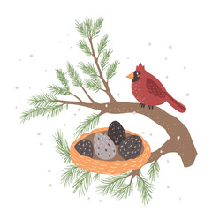 Red Cardinal bird on a winterberry branch vector