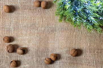 scattered walnuts with green wreath and white lights on jute, shiny christmas decoration with green leaves, background, flat lay
