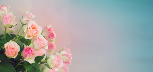 bouquet of pink roses