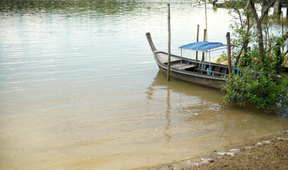 Old wooden fishing boat floating shallow water near tree                              