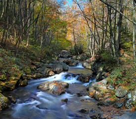 Fall colors at the Tallulah River in North Georgia