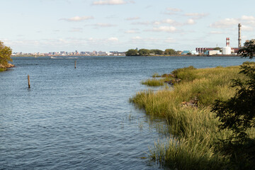 Bronx Kill Narrow Strait between the Bronx and Randalls and Wards Islands in New York City