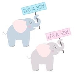 Baby shower. It's a boy. It's a girl. Cute baby elephants with signs. Vector illustration.