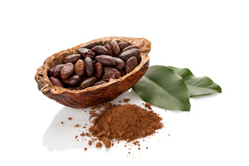 Cocoa powder and fresh roasted beans on white background.
