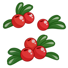 Cranberries with leaves. Set of forest berries. Vector illustration.