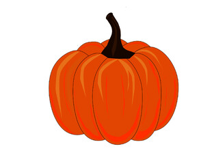 This is the regular pumpkin - it's healthy food and a nice attraction for Halloween time.
