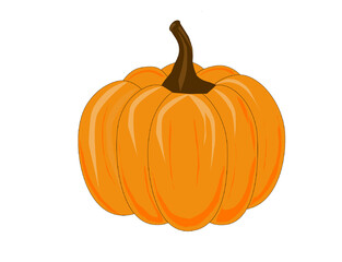 This is the regular pumpkin - it's healthy food and a nice attraction for Halloween time.