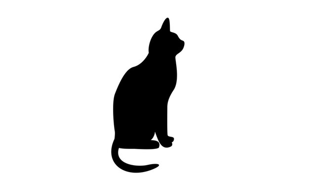 chat noir isol&eacute; sur fond blanc