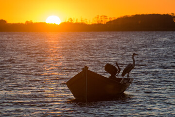 large bird perched in a small boat with the sunset in the background
