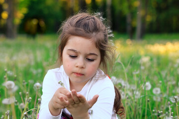 Portrait of seriousl little Girl is blowing dandelion flower in summer park. Happy cute child having fun outdoors.