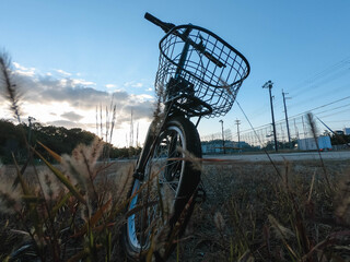bicycle in the field