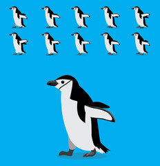 Animal Animation Sequence Chinstrap Penguin Cartoon Vector