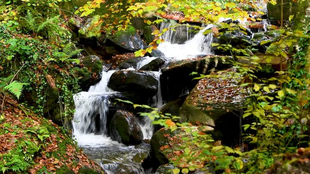 Bach pl&auml;tschert ein steiernes Bachbett hinunter umrahmt von buntem Herbstlaub - wei&szlig;e Sulm unterhalb der Strutz M&uuml;hle, Steiermark, &Ouml;sterreich