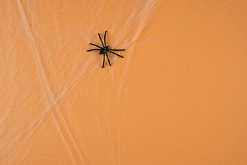 Spider with cobwebs on an orange background. Halloween