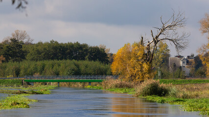 A local river overflows after autumn rains. Błonie, the Utrata River - obrazy, fototapety, plakaty
