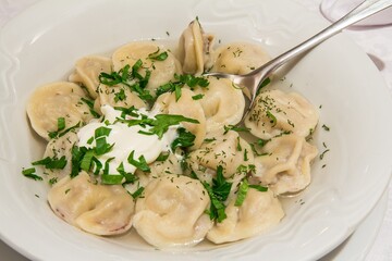 Close up view of delicious  ravioli with elk and wild boar meat with herbs and sour cream in restaurant.