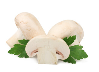 Fototapeta premium Mushrooms isolated on the white background